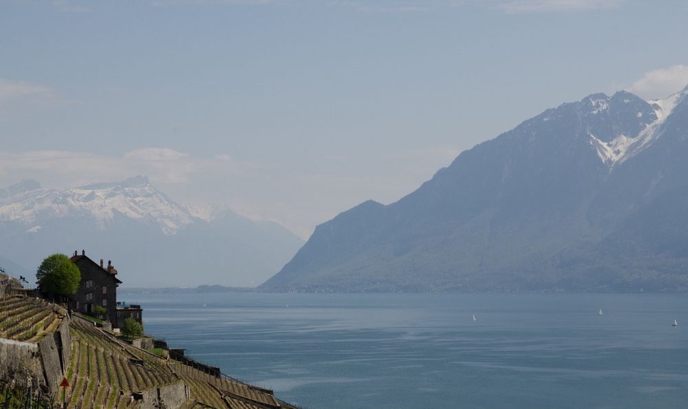 Le lac et les montagnes