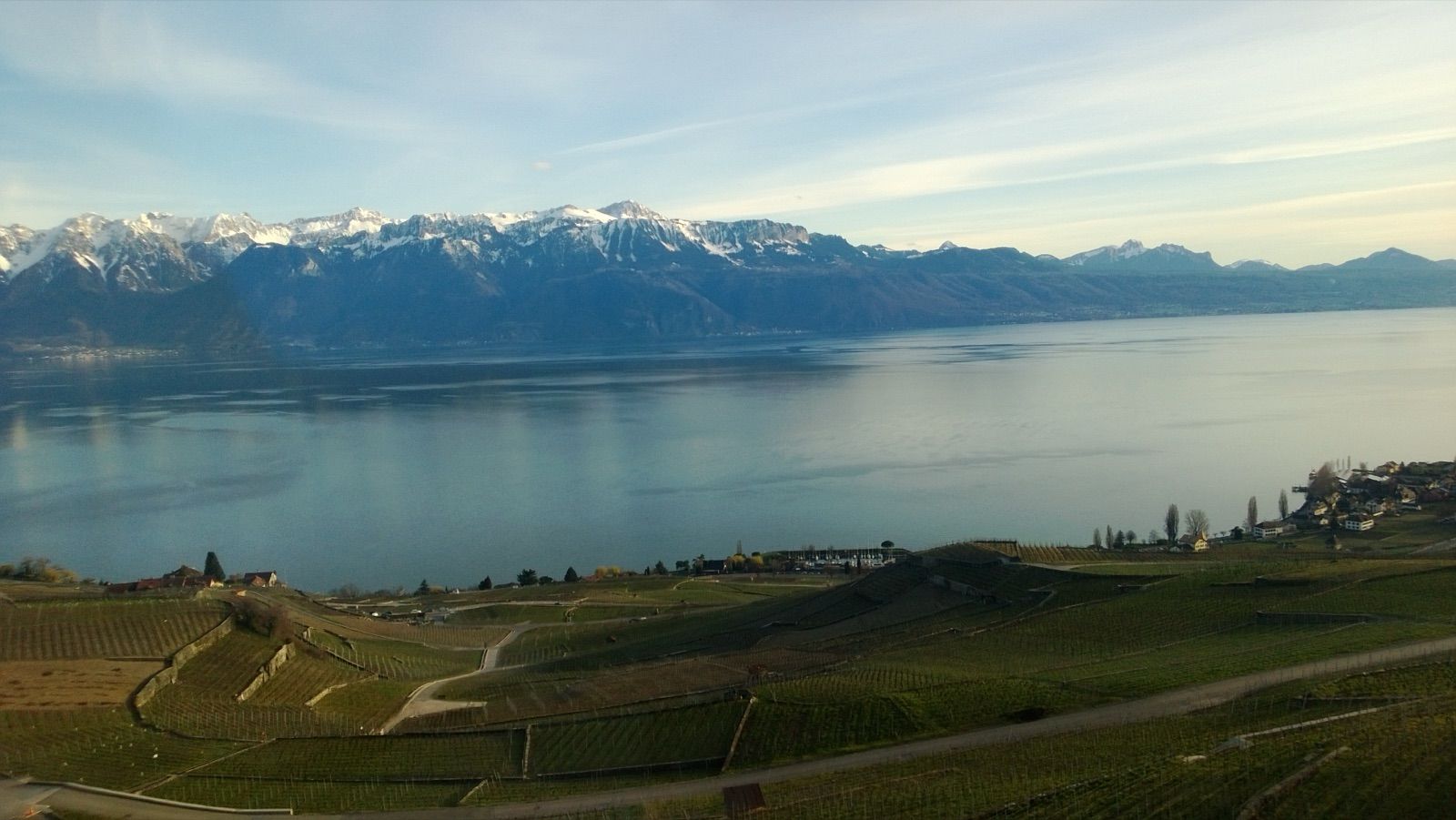 Le lac et les Alpes au-dessus des vignes
