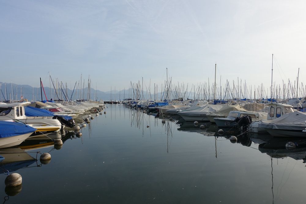 Le port par un matin calme